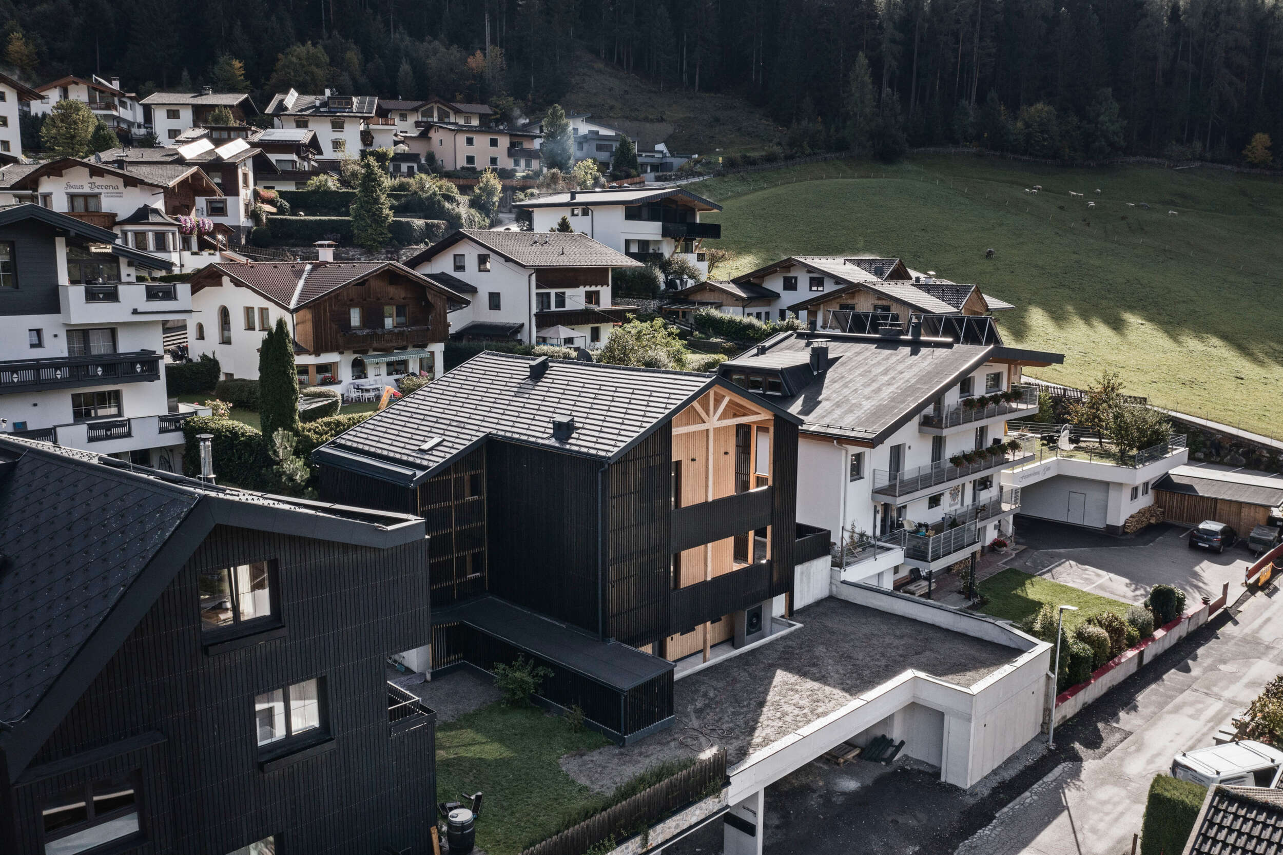 20241009_LOEWENZAHM_MF_SCO_DJI_0627.jpg